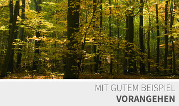 Kontrollierte Nachhaltigkeit